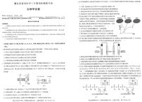 2024届湖北省黄冈中学高三第四次模拟-生物试卷（含答案）