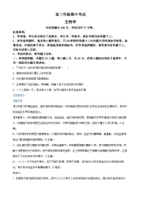 河北省保定市定州市2024-2025学年高二上学期11月期中生物试题 含解析