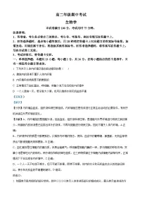河北省保定市定州市2024-2025学年高二上学期11月期中生物试题 含解析