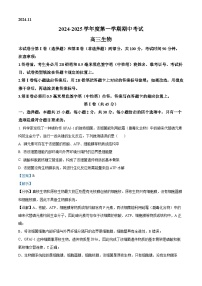 山东省青岛市2024-2025学年高三上学期11月期中生物试题 含解析