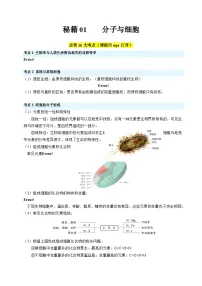 秘籍01 分子与细胞必备梳理-备战2024年高考生物抢分专题讲练（新高考专用）