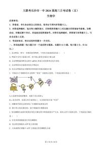 2024届湖南省长沙市一高三月考试卷(五)(1月)-生物试题（含答案）