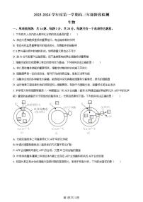 2024届江苏省海安中学高三上学期10月月考-生物试题（含答案）