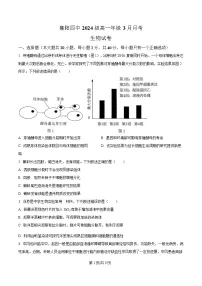 湖北省襄阳市第四中学2024-2025学年高一下学期3月月考生物试卷（Word版附解析）