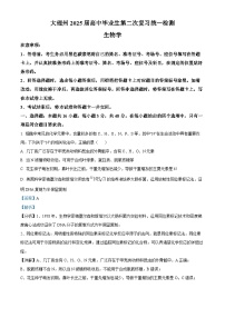 云南省大理白族自治州2024—2025学年高三上学期第二次模拟生物试题 含解析