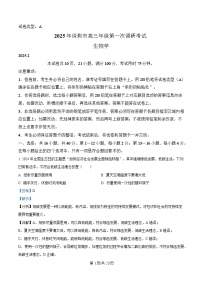 广东省深圳市2025届高三下学期第一次调研考试（一模）生物试卷 含解析