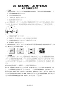2024北京重点校高一（上）期中真题生物汇编：减数分裂和受精作用