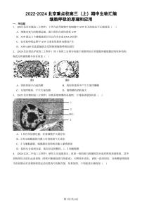 2022-2024北京重点校高三（上）期中真题生物汇编：细胞呼吸的原理和应用