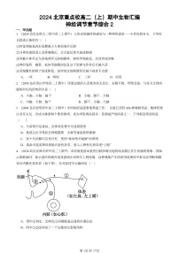 2024北京重点校高二（上）期中真题生物汇编：神经调节章节综合2