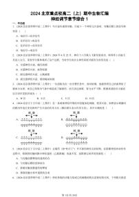 2024北京重点校高二（上）期中真题生物汇编：神经调节章节综合1