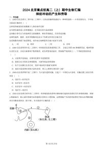 2024北京重点校高二（上）期中真题生物汇编：神经冲动的产生和传导