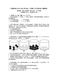 广西钦州市2024-2025学年高一下学期3月月考生物（模拟卷）+答案