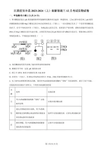 2024届江西省宜春市宜丰中学高三上学期12月月考-生物试题（含答案）