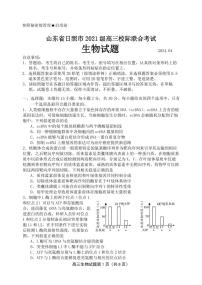 2024届山东省日照高三二模-生物试卷（含答案）