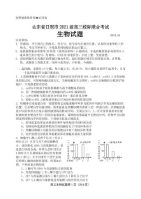 2024届山东省日照高三二模-生物试卷（含答案）