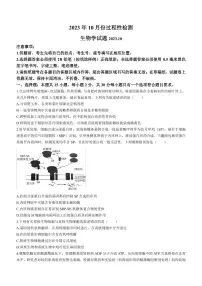 2024届山东省潍坊市高三上学期10月检测-生物试题（含答案）