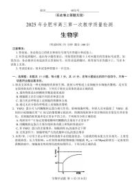 安徽省合肥市2025届高三第一次教学质量检测生物试卷（含答案）