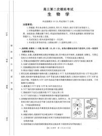 生物丨河南省新乡金太阳2025届高三下学期4月第二次模拟考试生物试卷及答案