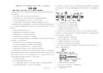 宁夏石嘴山市第一中学2024-2025学年高三上学期1月期末生物试卷（含答案）