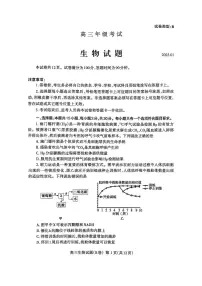 山东省泰安市2024-2025学年度高三上学期期末考试生物试卷（含答案）