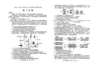 山东省潍坊市2024-2025学年高三上学期1月期末 生物试卷（含答案）