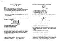 百师联盟2025届高三一轮复习联考（四）生物试卷及参考答案