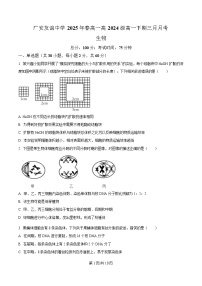 四川省广安市友谊中学2024—2025学年高一下学期3月考试生物试题（Word版附解析）