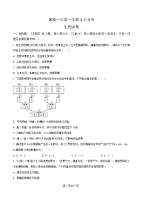 四川省南充市嘉陵第一中学2024-2025学年高一下学期3月月考生物试题（Word版附解析）