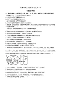 2025届江苏省南通市如皋市高三下学期高考适应性考试（二）生物试题（含答案）