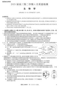 安徽省华师联盟2025届高三下学期4月考质量检测-生物试题卷+答案