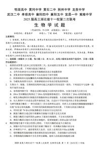 2025届高三湖北省十一校第二次联考 生物试卷（含答案）