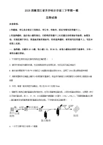 2025届黑龙江省齐齐哈尔市高三下学期一模生物试卷（含答案）