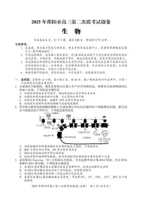 2025届湖南省邵阳市高三下学期第二次联考生物试卷（含答案）