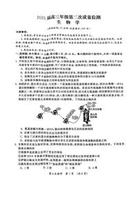 河南三市2025届高三年级第二次质量检测生物试卷（含答案）