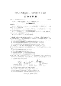 2024届湖北四调高三4月调研模拟考试-生物试卷（含答案）