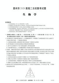 广东省惠州市五校2024-2025学年高二下学期4月联考生物试卷（PDF版附解析）