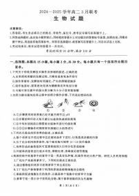 山东部分学校2024—2025学年高二生物月考试题