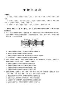巴蜀中学2025届高考适应性月考卷（五）生物试卷（含答案）