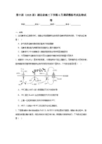 第十届（2025届）湖北省高三下学期4月调研模拟考试生物试卷（附答案解析）