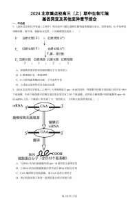 2024北京重点校高三（上）期中真题生物汇编：基因突变及其他变异章节综合