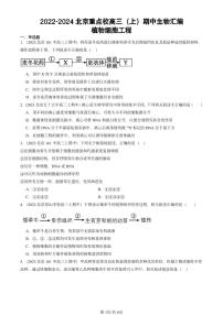 2022-2024北京重点校高三（上）期中真题生物汇编：植物细胞工程