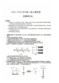九师联盟2024-2025学年高三核心模拟卷 生物试卷（含答案）