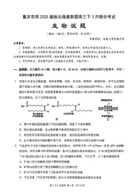 重庆市高2025届拔尖强基联盟高三（下）3月联合诊断性考试 生物试卷（含答案）
