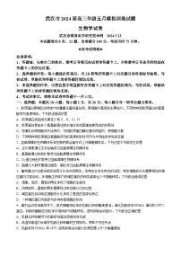 湖北省武汉市2024届高三下学期5月模拟训练生物试卷  含答案