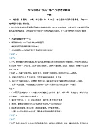 湖南省邵阳市2023-2024学年高三下学期第二次联考生物试题  含解析