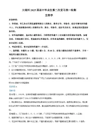 云南省大理白族自治州2024—2025学年高三上学期第二次模拟生物试题 含解析