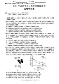 江西省赣州市十八县（市、区）二十五校2025届高三下学期期中联考生物试题（含答案）