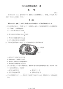 2025北京西城高三一模[高考模拟]生物试卷（教师版）