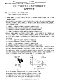 江西省赣州市十八县（市、区）二十五校2025届高三下学期4月期中联考生物试题（PDF版附解析）
