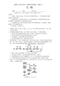 湖南省株洲市2023-2024学年高三上学期教学质量统一检测（一）生物试卷（含答案）